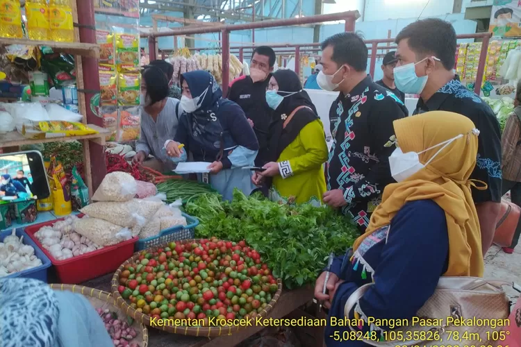 Kementan sidah bahan pokok di Lampung Timur (Ist)