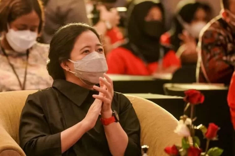 Ketua DPR RI Puan Maharani.  (Dokumen DPR RI)