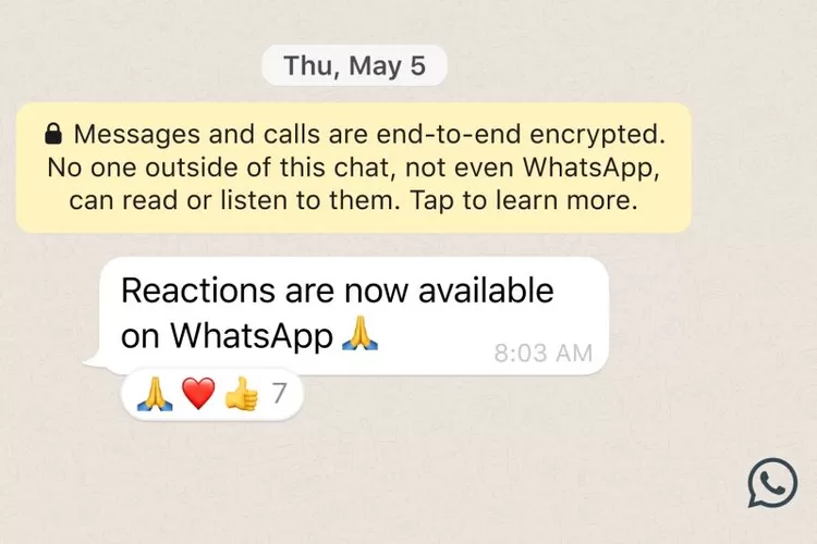 Fitur baru WhatsApp membalas pesan dengan emoji reaksi.  (blog.whatsapp.com)