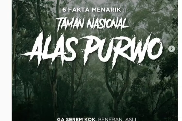 6 Fakta Menarik Taman Nasional Alas Purwo yang Jarang Diketahui (Instagram @kemenkomarves)