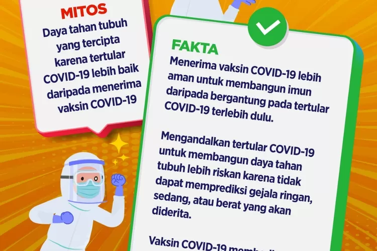 mitos dan fakta soal daya tahan tubuh. (laman covid19.go.id)