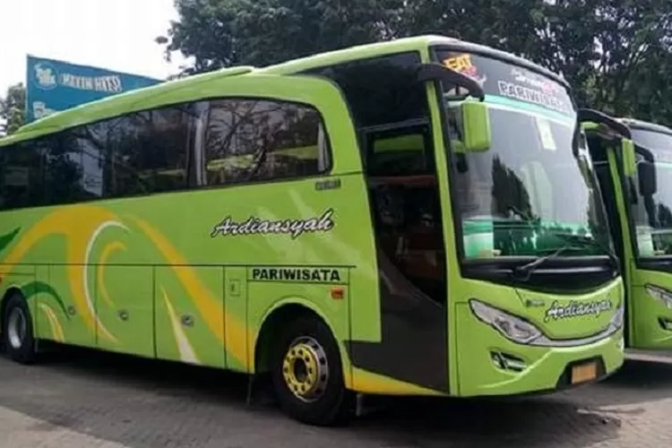 Bus Pariwisata milik PO Ardiansyah (Istimewa)