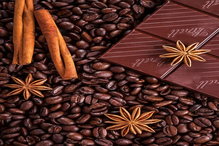 Manfaat dari mengkonsumsi coklat hitam (pixabay/@Daria-Yakovleva)