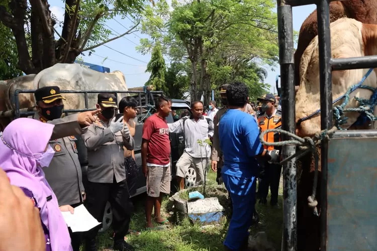 Anggota Polres Demak melakukan pengecekan hewan. (Humas Polres Demak)