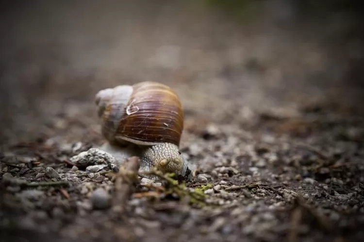 5 Bahan aneh Ini Ada dalam Pembuatan Kosmetik. Foto/Instagram (Foto/Instagram)