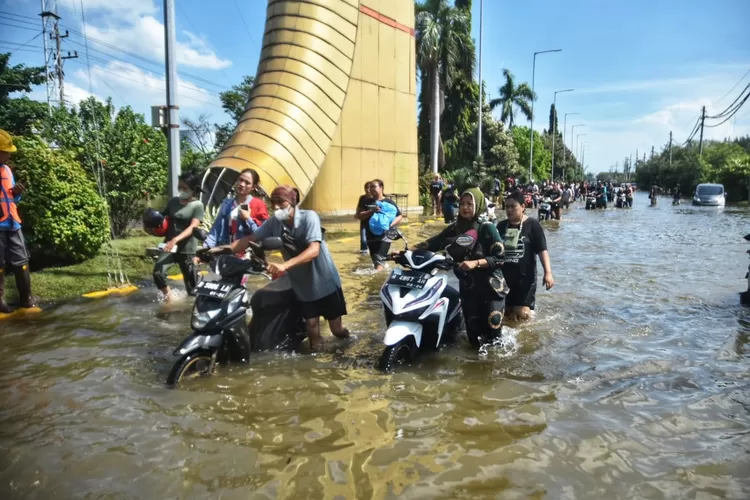 Banjir Rob Semarang. Tips hadapi banjir penting dilakukan (ayosemarang.com/audrian firhannusa)