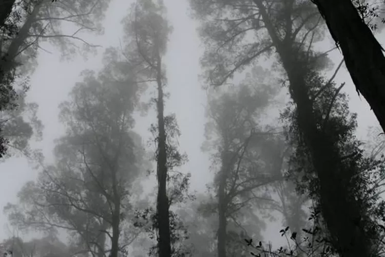 Daftar gunung angker di Indonesia. Foto/Istimewa. (Foto/Istimewa.)