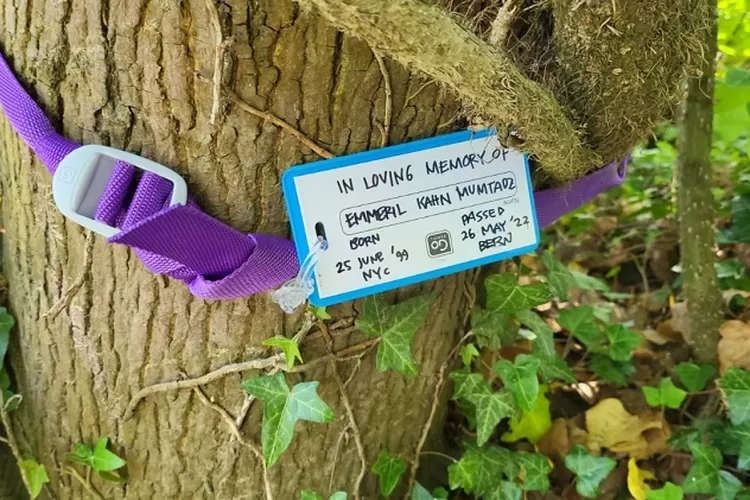 Ridwan Kamil dan Atalia Praratya tulis nama Eril di sebuah pohon di tepi sungai Aare sebagai ganti batu nisan. (Gorajuara/ Humas Provinsi Jabar)