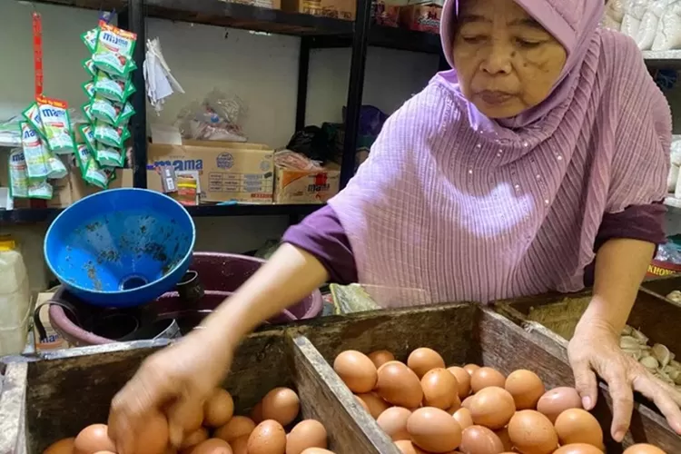 Salah satu penjual telur di Pasar Batang, Sri saat menata dagangan.  (Muslihun/Kontributor Batang)