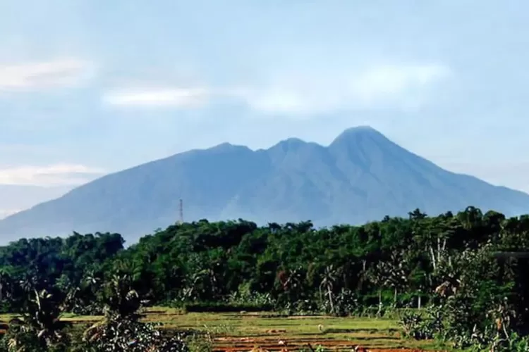 tempat makan di Bogor yang jauh dari pusat kota. Foto/Instagram (Foto/Instagram)