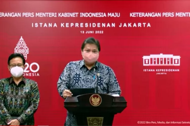Menko Ekonomi Airlangga Hartarto dan Menkes Budi Gunadi Sadikin. (Tangkapan layar YouTube Sekretariat Presiden.)