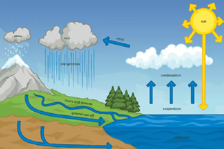 Apa Itu Siklus Air Dan Apa Saja Tahapannya? - Harian Haluan