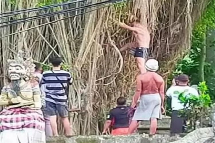 Bule asal Australia saat panjat pohon keramat di Bali 