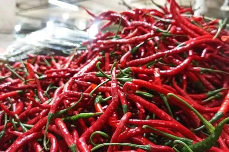 Harga sembako di Kota Semarang hari ini, Senin 20 Juni 2022. (istimewa)