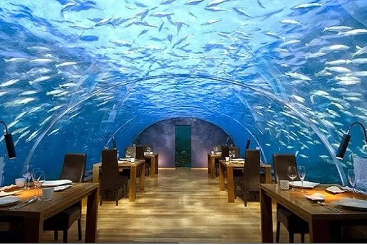 Rekomendasi restoran bawah laut (Akun Twitter @janoskiraly)