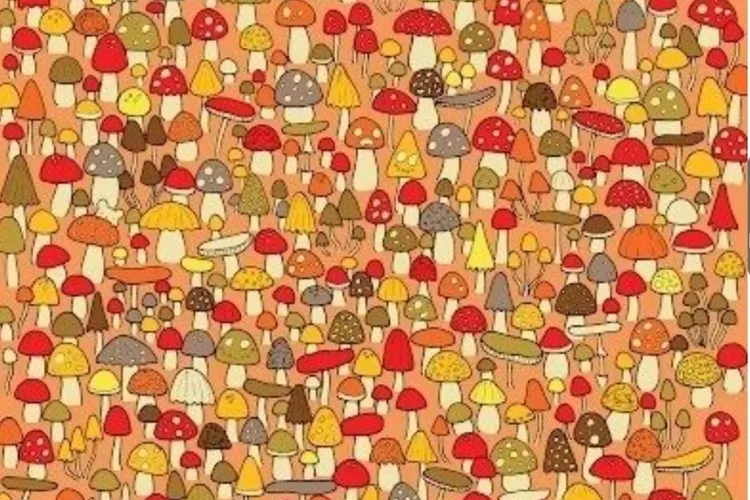 Tes iq menemukan keberadaan tikus dalam gambar jamur selama 15 detik./Jagranjosh.com