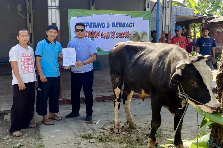 Ketua Bidang Sosial DPP Asperindo H. Junaidi Sumardi  menyerahkan 1 ekor sapi ke masjid Al Falah 