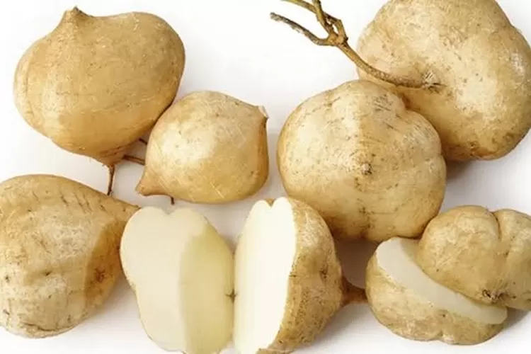 Manfaat bengkuang untuk kecantikan wajah  (Istimewa )