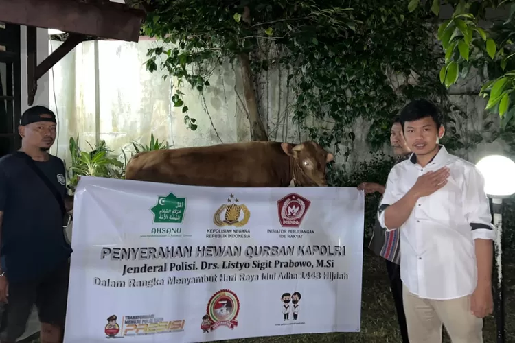Ketum PB Inspira menerima sapi Limosin dihari Qurban (instagram)