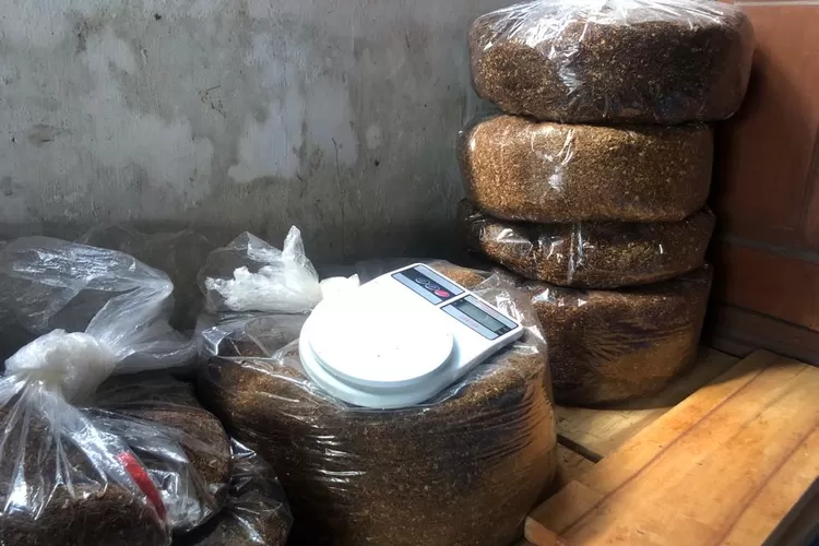 Tembakau Lembutan. (Faisal Hendrawan)