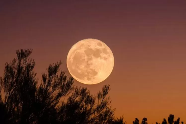 Supermoon (Unsplash)