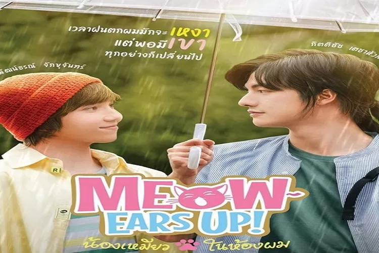 Link Nonton Drama BL Thailand 'Meow Ears Up', Episode 1 Sampai end Lengkap dengan Subtitle (Akun Twitter @elcinstardis)