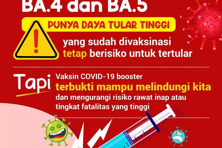Subvarian Omicron BA.4 dan BA.5 daya tularnya tinggi. (laman covid19.go.id)