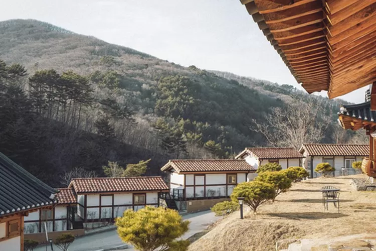 Suasana desa yang biasa digunakan syuting Drama Korea tema kolosal (Pixabay.com)