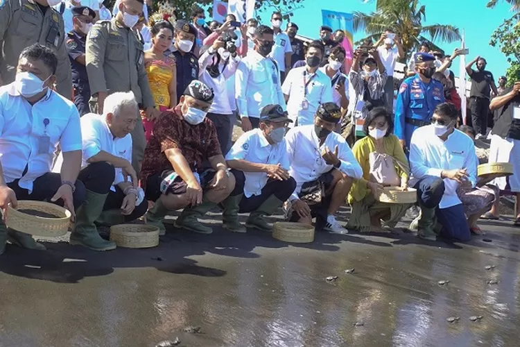 Suasana saat Indosat Ooredoo Hutchison meluncurkan program CSR Konservasi Laut di Jembrana, Bali.