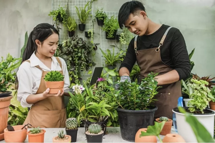 Ilustrasi merawat tanaman hias. (Freepik)