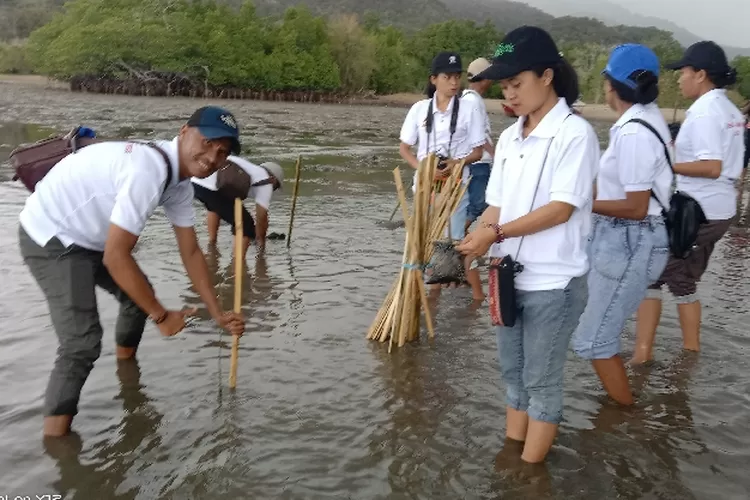 Imam dan umat se-kevikepan Reo menanam Bakau di Pantai Ketentang Labuan Bajo Selasa sore (9/8/2022) (Feliks Janggu)
