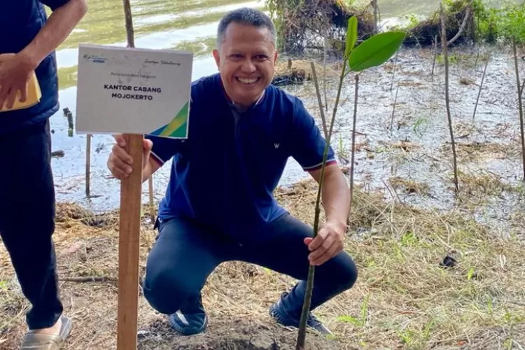 Kepala BPJS Ketenagakerjaan Cabang Mojokerto, Zulkarnain Mahading disela penanaman pohon mangrove
