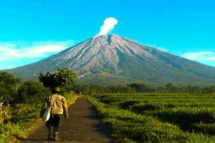 Destinasi Wisata Gunung di sekitaran Malang  (Twitter/ @Moektito )