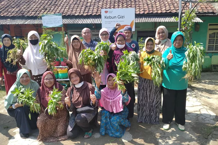 lansia edukasikan nanam hidroponik