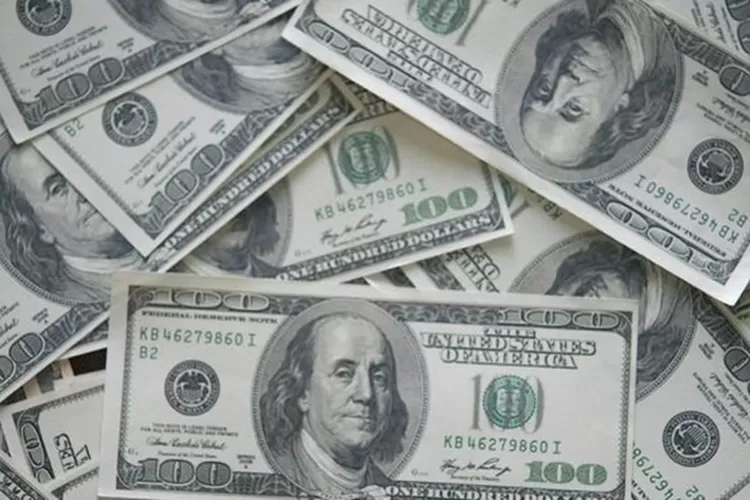 Aplikasi penghasil uang dengan bayaran dolar yang bisa langsung bisa cair. (istimewa)