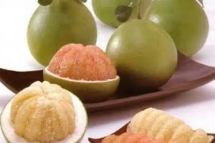 Jeruk bali, buah khas Indonesia yang menyegarkan dan berkhasiat (G. Windarto)