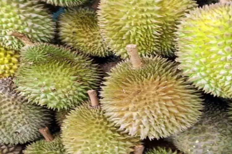 Buah kesukaan banyak orang, inilah manfaat durian bagi kesehatan. (Pixabay)