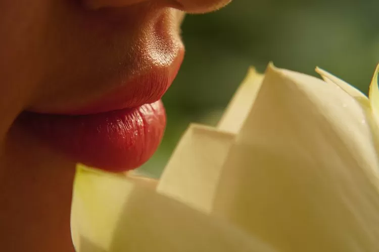 4 Rekomendasi Lipstik Glossy Cocok untuk Remaja yang Memiliki Bibir Kering. (Pixabay/ drphuc)