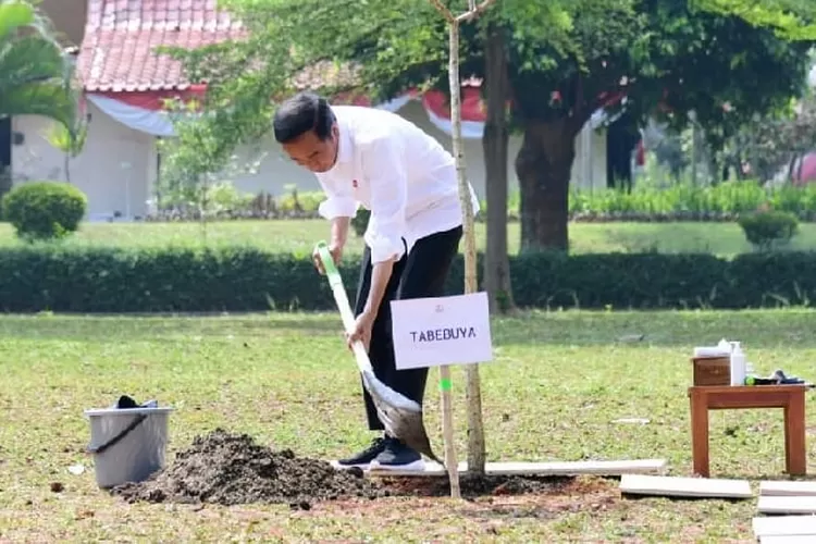 Presiden Jokowi tinjaw progres renovasi TMII (Biro Pers, Media, dan Informasi Sekretariat Presiden)