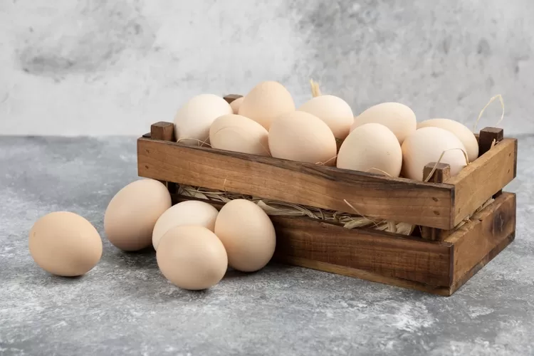 Telur Ayam.  (Freepik)