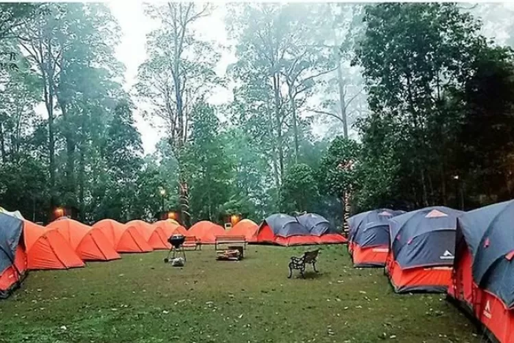  Camping di Mojosemi Forest Park  (Instagram @mojosemiforestpark)