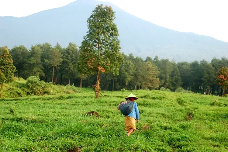 Indonesia Menjadi Salah Satu Dari Beberapa Negara Terindah di Dunia (belajatiraihanfahrizi via Pixabay)