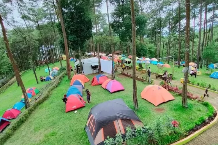 Tempat camping di Magetan yang bikin enggan pulang (Instagram @wisataalastuwo)