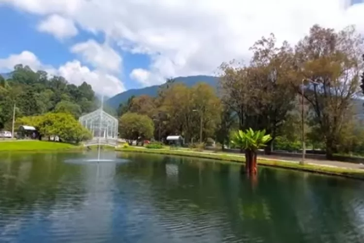 Kebun Raya Cibodas Cianjur, Tempat Wisata Cocok untuk Healing Bersama Keluarga! ( Tangkapan layar channel youtube Friska Yeni)