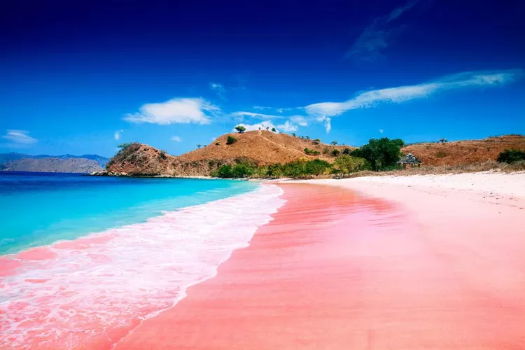 Pantai Pink di Lombok, Nusa Tenggara Barat. (Foto: Travel Club)