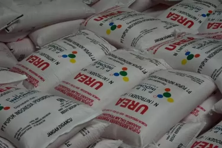 Pupuk subsidi  (Istimewa )