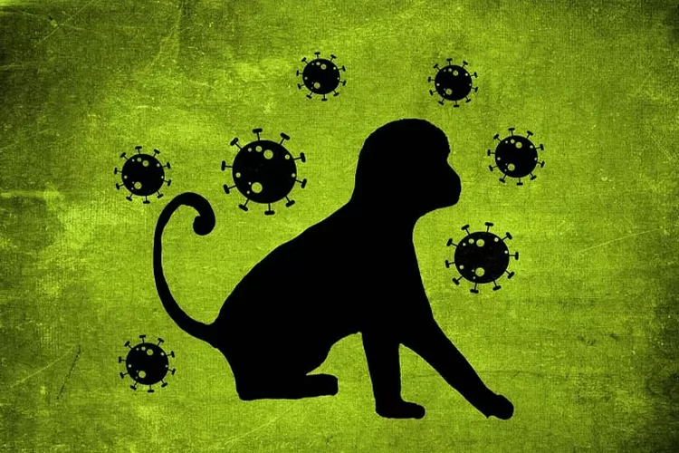 Ilustrasi cacar monyet atau monkeypox. (Pixabay/Alexandra_Koch)