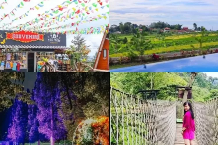 Rekomendasi Destinasi Tempat Wisata Yang Sangat Indah di Bogor, terbaru 2022 (Tangkapan layar via YouTube @DaftarWisata)