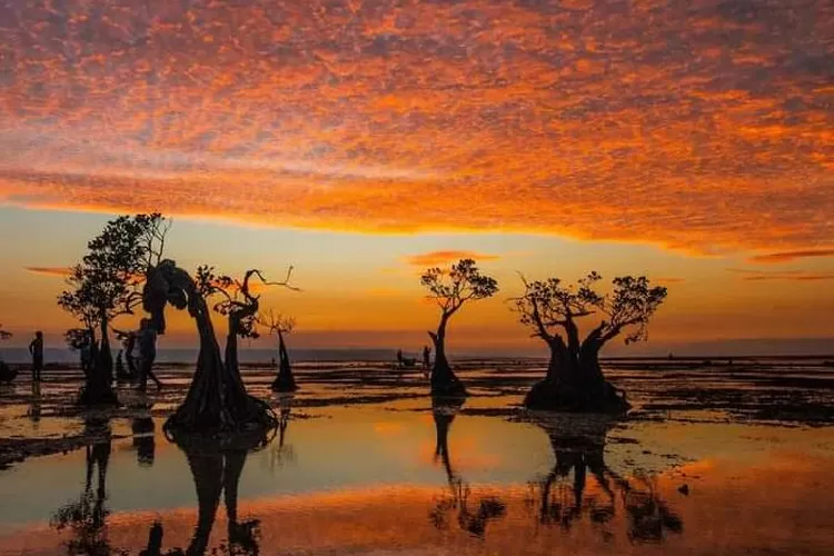 Pantai Walakiri Sumba Timur NTT (Ignas Kunda )
