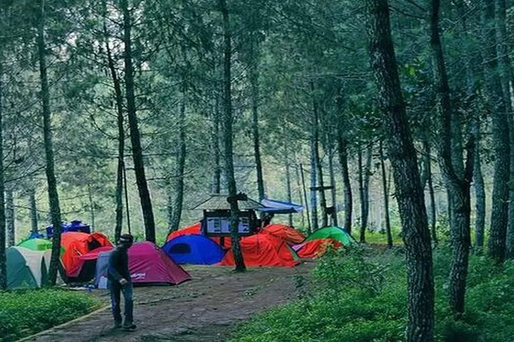 Bukit Moko, salah satu pilihan destinasi wisata camping saat berkunjung ke Bandung. (Akun Instagram @bukitmoko)